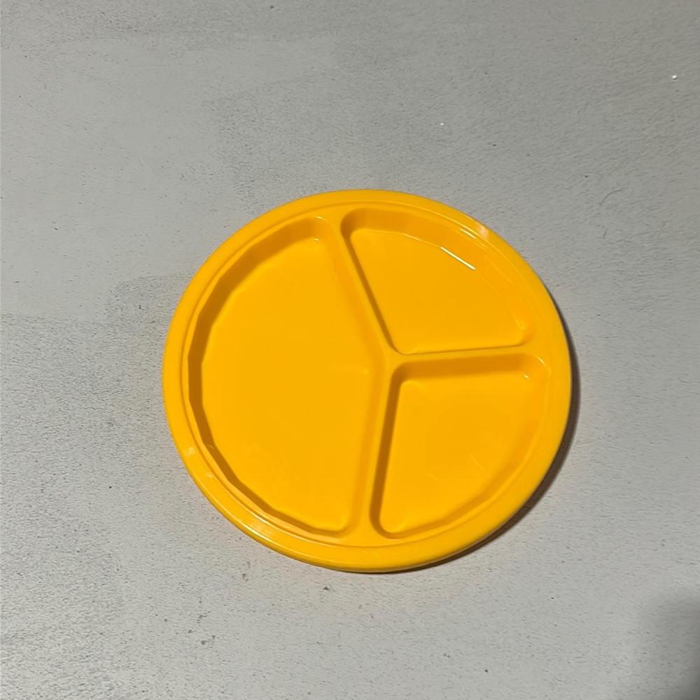 Reusable Plates (4)